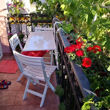 Kuca Tonci & Semsa Apartman *